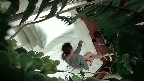 偷拍极品 酒店绿植房内骚货被巨根爆操到潮喷