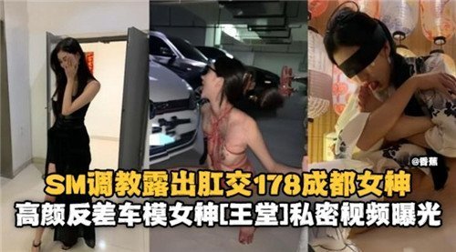 成都高颜车模惨遭SM调教，露出肛交爆操内射反差惊呆